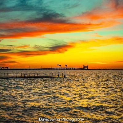 Tom11610363's profile picture. 