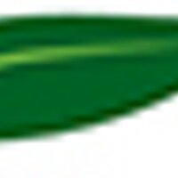 BiopolymersSymposium (@biopolymers) 's Twitter Profile