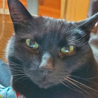 ABrowne (@arlenebrowne2) 's Twitter Profile