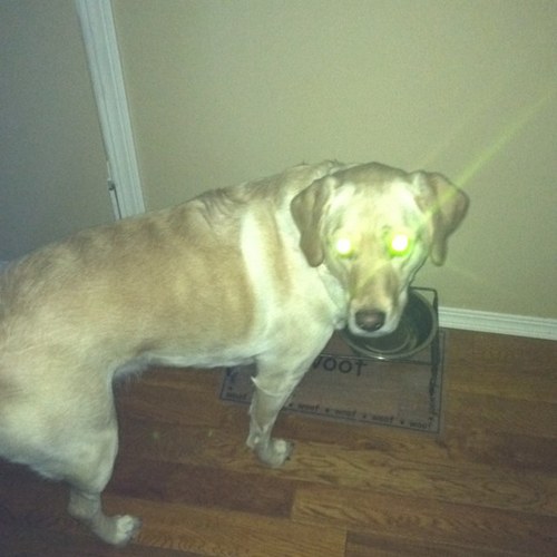 jsh_mohr's profile picture. 