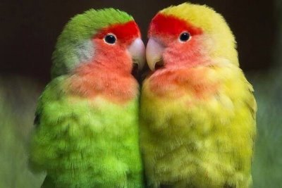 present13745213's profile picture. 