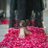 inshawahid07's profile image