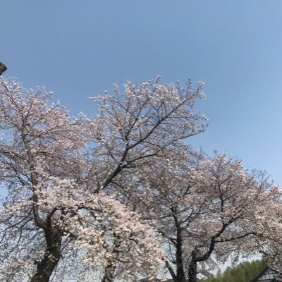 hrhrboo's profile picture. 毎日がスペシャル