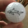 mark_pronobis's profile picture. father of 2 great kids Nick and Kristin . husband of Tracy . bogey golfer, ice hockey player and member of the #BILLSMAFIA