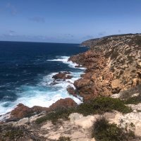 Hamlet (@hamishnapier1) 's Twitter Profile