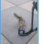 corepower9's profile picture. 