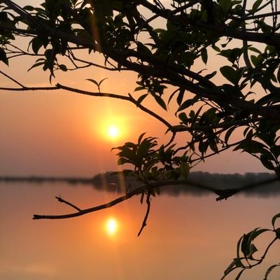 euclidea11's profile picture. 