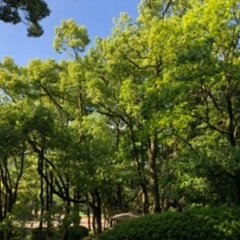 dkvBcrfZ6ECdhBs's profile picture. 舞台・ミュージカル好き Da-iCE, LE VELVETS, 劇団四季