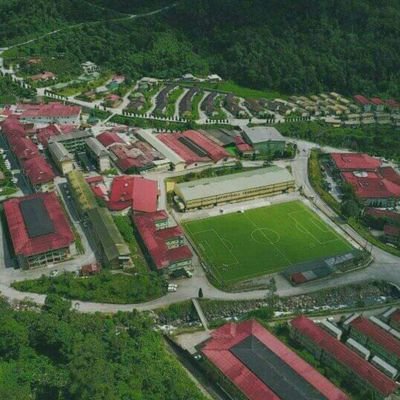 PumaPapua's profile picture. olaraga