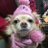 alice0070003