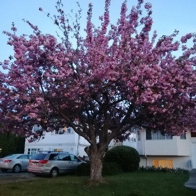 9HHFJM0IBQrBVry's profile picture. 