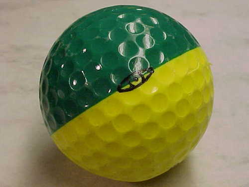 A few updates about golf, and a little of this and a litte of that.