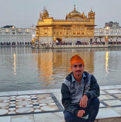 senior .net developer.