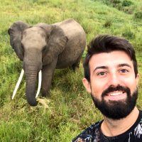 Kerem Geçer (@gecerkrm) 's Twitter Profile