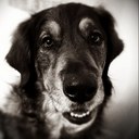 Sheila Tobin - @Shabalala72 - Twitter