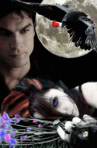I'm the true Damon.Impostors portray me well,but are not me.My life is beyond the books and the screen.Follow me on my path of love and lust and be entertained.