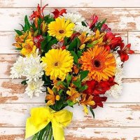 İlhan42 (@ilhanzehra42) Twitter profile photo