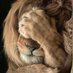 rikrd🦁 (@animusinvictus_) Twitter profile photo rikrd🦁 (@animusinvictus_) Twitter profile photo