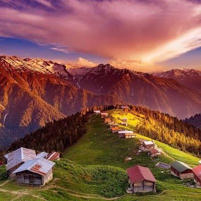 DemircannKubra's profile picture. 🤦🏼‍♀️