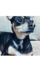 Gerald Witt - @gwitt69 - Twitter