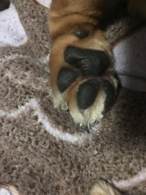 ともたんさんのプロフィール画像