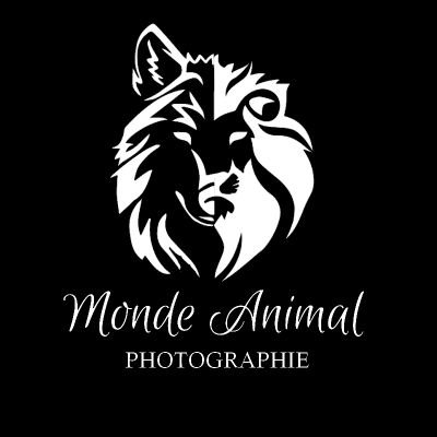 📸 Photographes amateurs - 💻 Blog animalier - 👫 Compte géré par Christophe et Alexia - 🖥 Instagram/Facebook : monde.animal.photographie