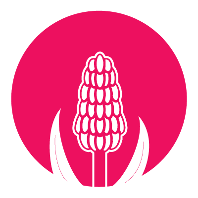 SprucedBN3's profile picture. Sprucing up Hove | sprucedhove@gmail.com