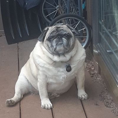 joegerb's profile picture. Life is good