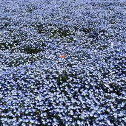 AEQlDBZ57g9kJQA's profile picture. 