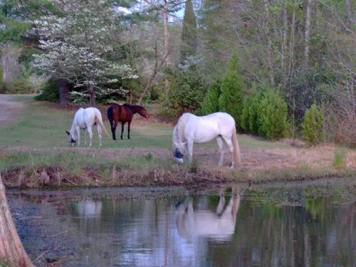 IT McGyver, equestrian, and occasional comic relief, now on Spoutible: https://t.co/5mqSlBnqDZ

Posts are my own, and not those of my employer