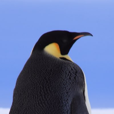 はらすめんさんのプロフィール画像