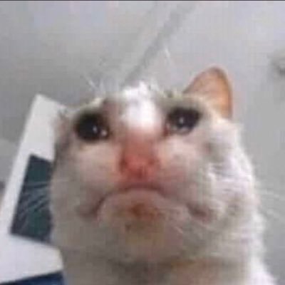 ihavepr10058077's profile picture. I just vent about personal problems I have