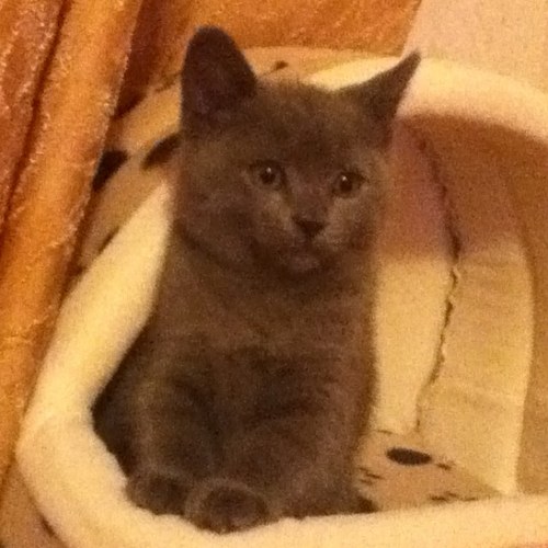 sergey119's profile picture. 