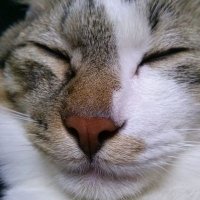 ののの (@qirkhocgocap9jh) Twitter profile photo