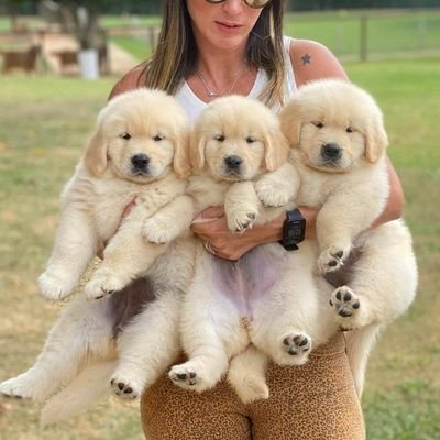 William48790604's profile picture. Don't force anybody to FW you. If you gotta rock alone, then rock alone. F****ck them