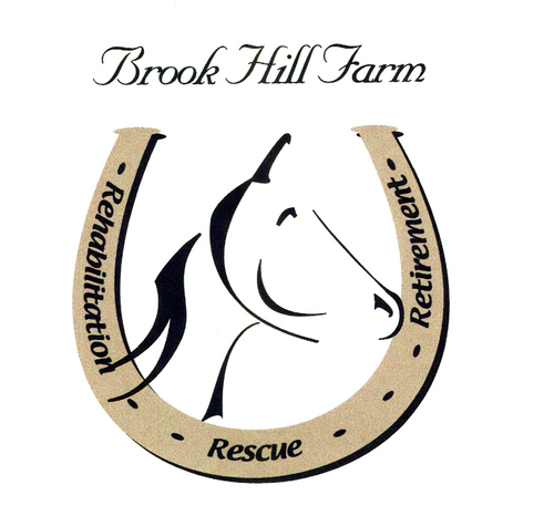 Brook Hill Farm provides rescue and rehabilitation focused services to unwanted horses and education for at-risk teens, college interns, and the community.