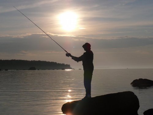 Adolfik's profile picture. Weightlifting