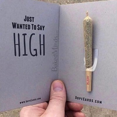 MacanBerantai's profile picture. 420