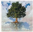 knowledgetree1's profile picture. 