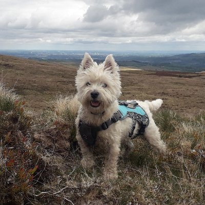 outsideisfree67's profile picture. If you're accustomed to privilege, equality feels like oppression.