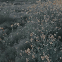 ﹐soon (@phosphoreacence) 's Twitter Profile