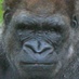 Joe Eggleston (@jegglest) Twitter profile photo Joe Eggleston (@jegglest) Twitter profile photo