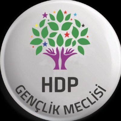 HDP Cizre Gençlik Meclisi