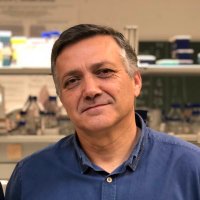 Carlos Santos Ocaña (@carlossantosoc) 's Twitter Profile