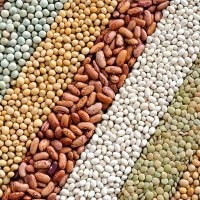 النزير عمر أبو عمر (@alnazeeromer) Twitter profile photo