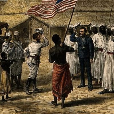 PaloDD's profile picture. 