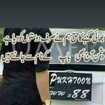 PyrayM's profile picture. Faisal