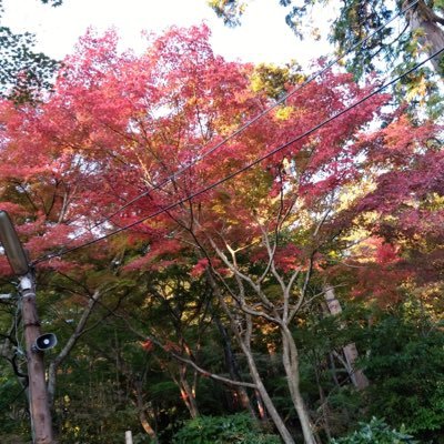 mrfxoCyaIKd2ykE's profile picture. 