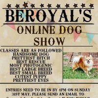 beroyals (@beroyals1) 's Twitter Profile Photo beroyals (@beroyals1) 's Twitter Profile Photo