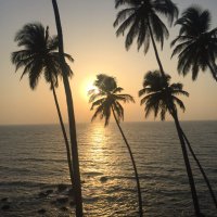 Brian Beaton (@brianbeaton6) 's Twitter Profile Photo